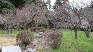 風流な平安貴族の姿が見えるようで興味深く感じられました。