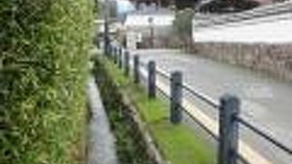 透明で綺麗な流れで、天満宮の参道とは違う国博通りの風情には欠かせない要素だと思われました。