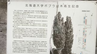 　構内でも少しばかり歩きます。