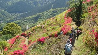 岩戸山登山の帰りに姫の沢公園に下りました