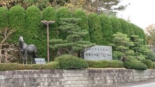 中央競馬の調教拠点
