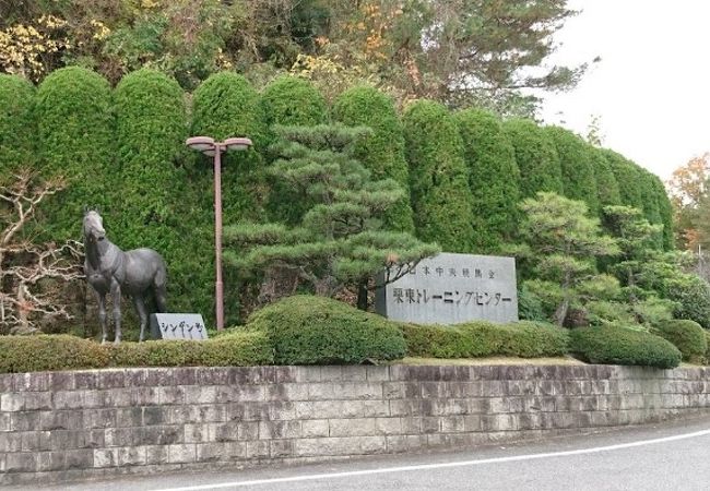 中央競馬の調教拠点