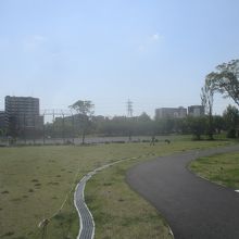 富士見公園