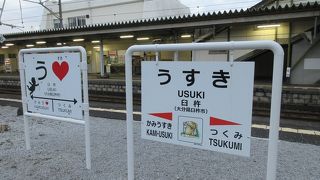 大分から臼杵への観光の際に利用しました。