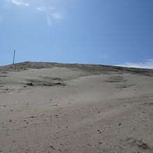 いかにも砂丘を感じる風景