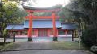 朱色に塗られた社殿は大変に立派で、神様の住まいらしい佇まいでした。