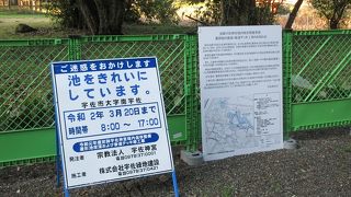 「池の水をきれいにしています」と書かれた看板と仮囲いが。