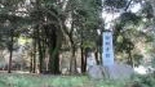 石碑から想像を働かせるほかありませんでした。