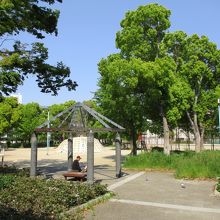 大和田中央公園