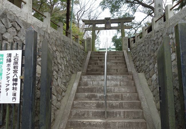 ご本殿に施された彫刻が美しかったです