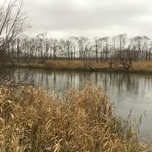 釧路湿原駅付近の　川の流れ