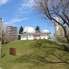 桜の木と天文台