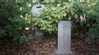 梵語の研究の大家