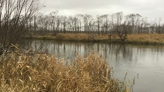 　湿原あたりは　展望台からの眺望は蛇行して流れている様子がわかる。