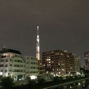 横十間川沿いから見るスカイツリーは最高でした。のどかの風景で東京と思えないほどいやされました。