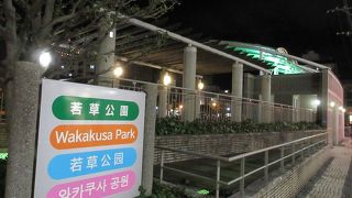 トキハグループのスーパーマーケットの向かいにある広い公園で、機関車などが展示されていました。