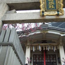 天神さんの鳥居