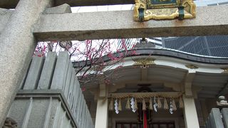 繁華街の中にあるお社