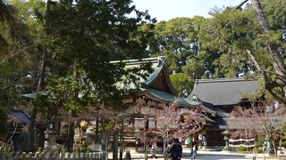 この辺りの「付近観光案内図」の位置が、通常は「北」が上部に来ますが左になっていることがあります。頭の中が混乱しちゃいます。