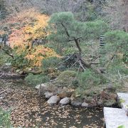 四季折々の花が咲く花の寺