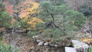 四季折々の花が咲く花の寺