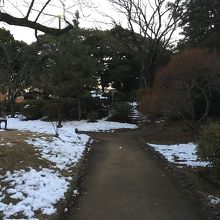 雪が残っていました。