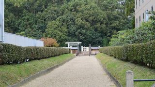 奈良の街のど真ん中に。