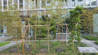 庭のようでした