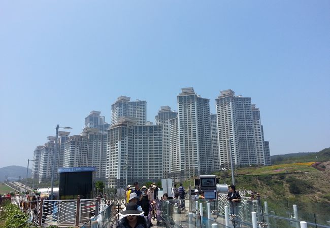 五六島スカイウォーク クチコミ アクセス 営業時間 釜山 フォートラベル 五六島スカイウォーク クチコミ アクセス 営業時間 釜山 フォートラベル