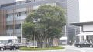 ＪＲ成田駅を利用した際は毎回拝見するようになりました