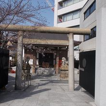 入り口の様子です。