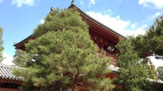 一休和尚で知られているお寺です