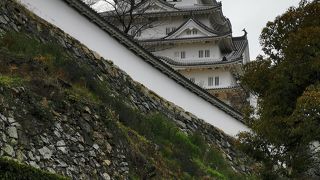 姫路城ひさしぶり
