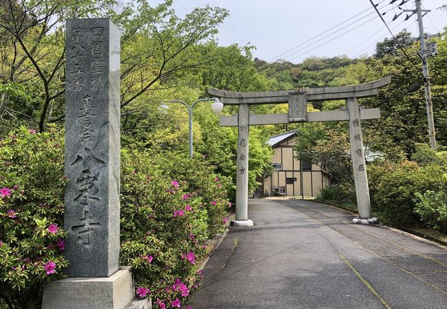 お迎え大師展望台で屋島をみる