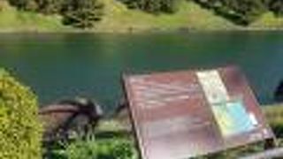 傍らに柳の木があったから