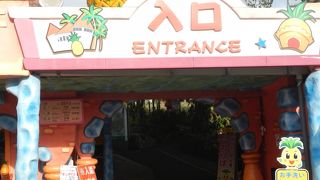 パイナップルをはじめ、南国のフルーツや、鮮やかな植物がいっぱいのテーマパークです。