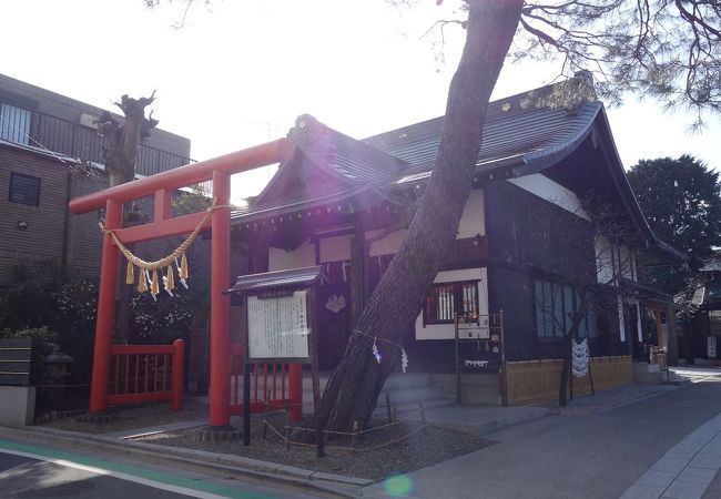 清々しい雰囲気の神社