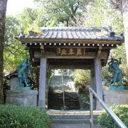 パワーと歴史を感じるお寺