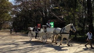 ゆっくり観光したい神社