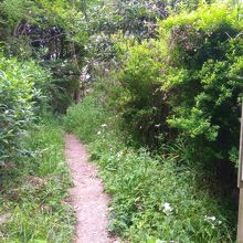 あまり人が入っていなさそうな公園でした By まめ夫婦 蘆花記念公園のクチコミ フォートラベル あまり人が入っていなさそうな公園でした By まめ夫婦 蘆花記念公園のクチコミ フォートラベル