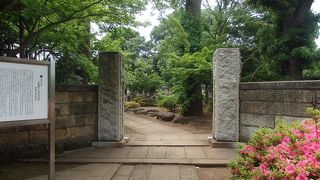 豪徳寺に桜を見に行き、井伊直弼の墓に寄りました
