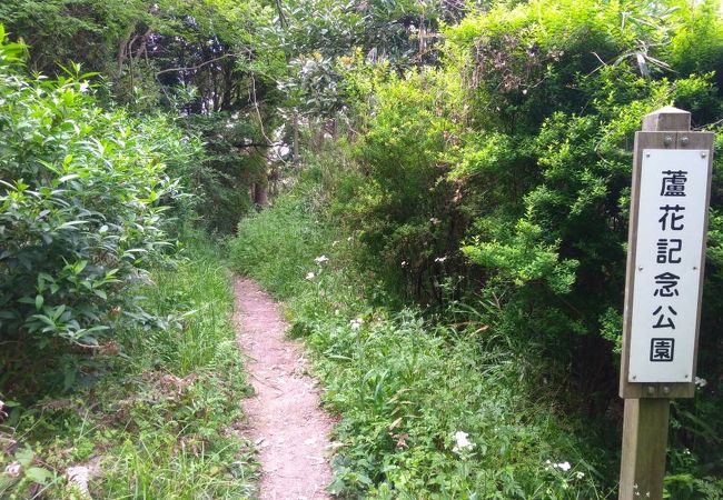 蘆花記念公園 クチコミ アクセス 営業時間 逗子 葉山 フォートラベル