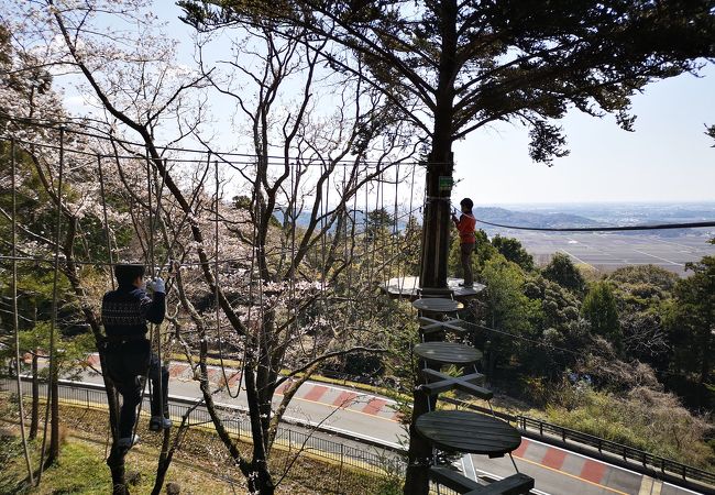 フォレストアドベンチャーつくば