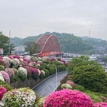 音戸の瀬戸を見下ろす事が出来ます。