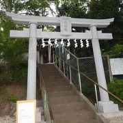 立派な御神木と水の絶えない滝 （瀧神社）