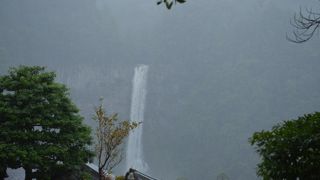 雨の中でも偉容
