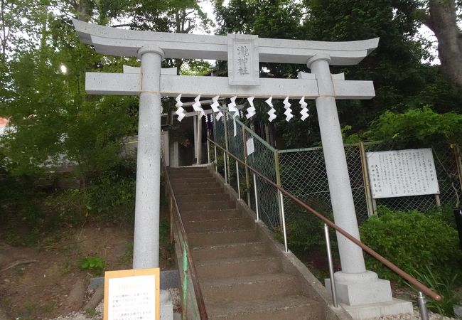 立派な御神木と水の絶えない滝 （瀧神社）