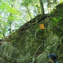 鎖もあり登る事ができます