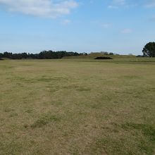 土が運び込まれ、菜の花の準備が。なお、手前は芝生です。
