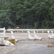 名門の乗馬クラブです